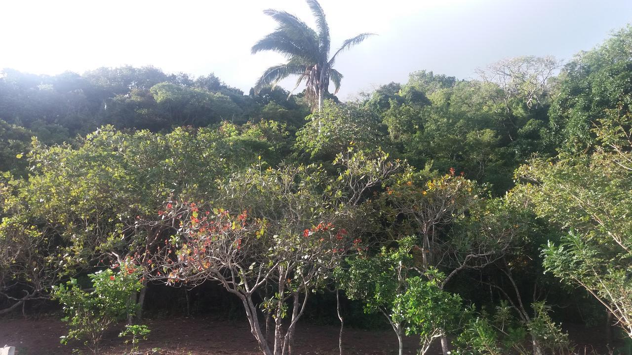 Refúgio na Serra Bananeiras Exterior foto