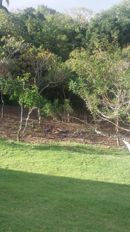 Refúgio na Serra Bananeiras Exterior foto